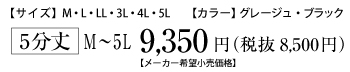 Vサポートねだん